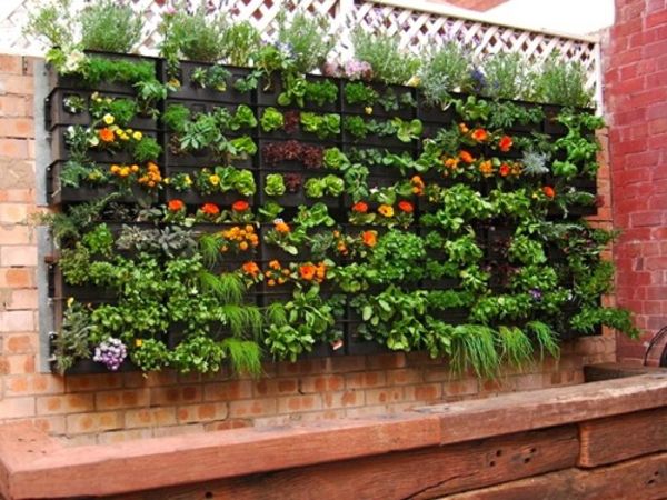 horta urbana vertical