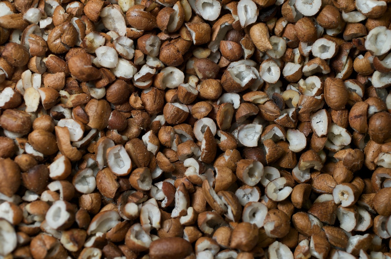 licuri - Fruta nativa
