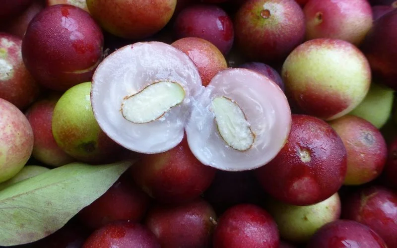 fruta camu-camu
