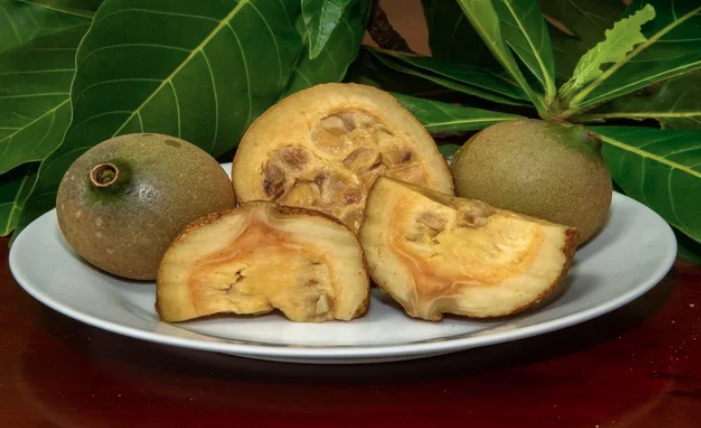 jenipapo - fruta nativa