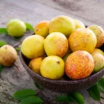 mangaba - fruta nativa