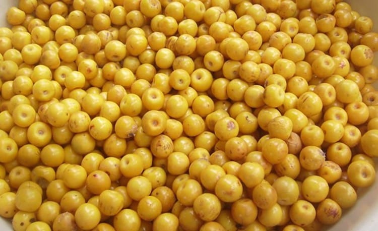 murici - fruta nativa